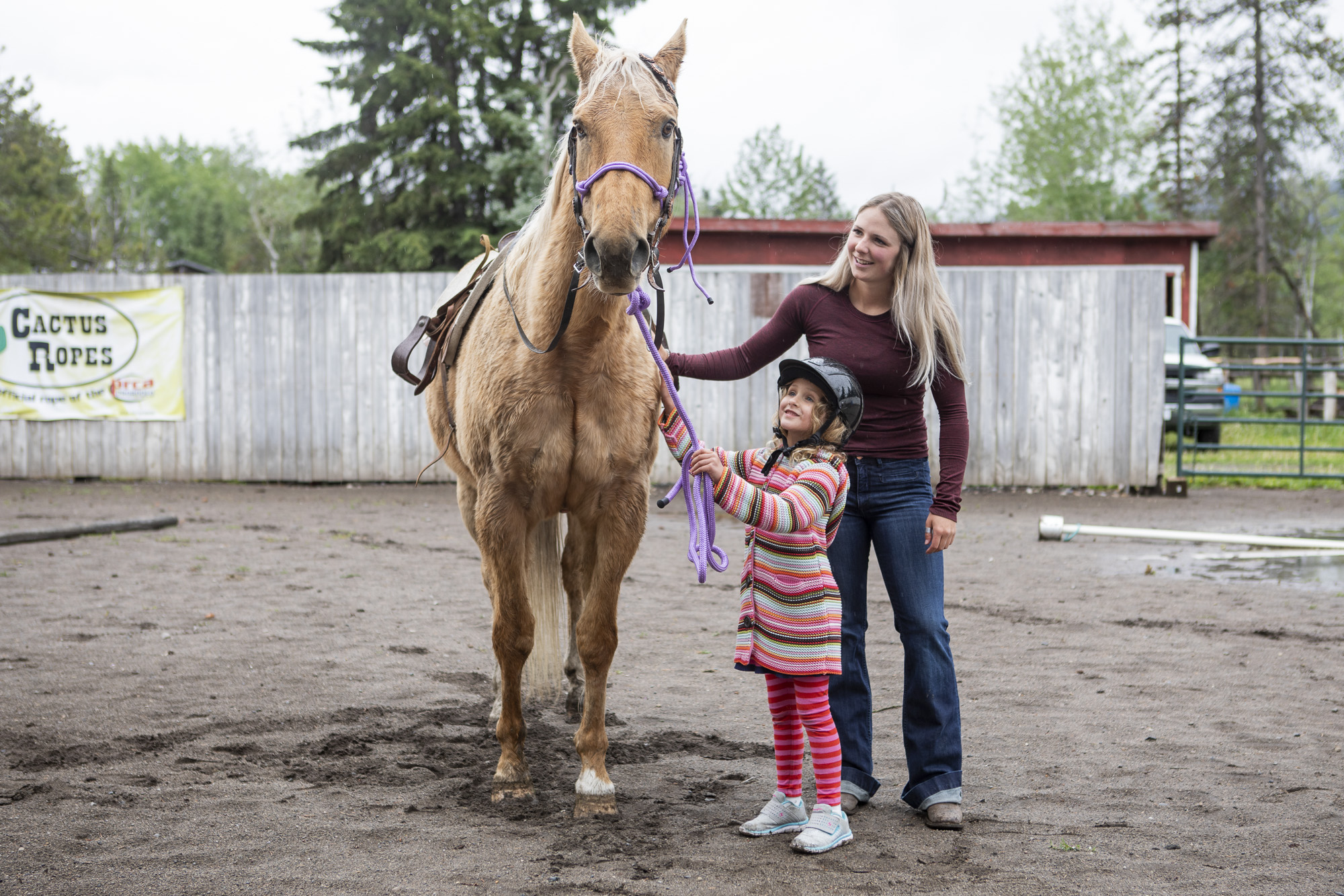 horse photo 7.JPG