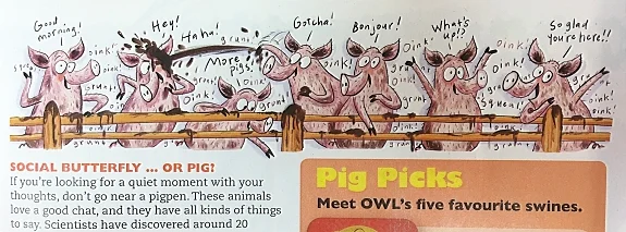 owl-pigs-sp2.jpg