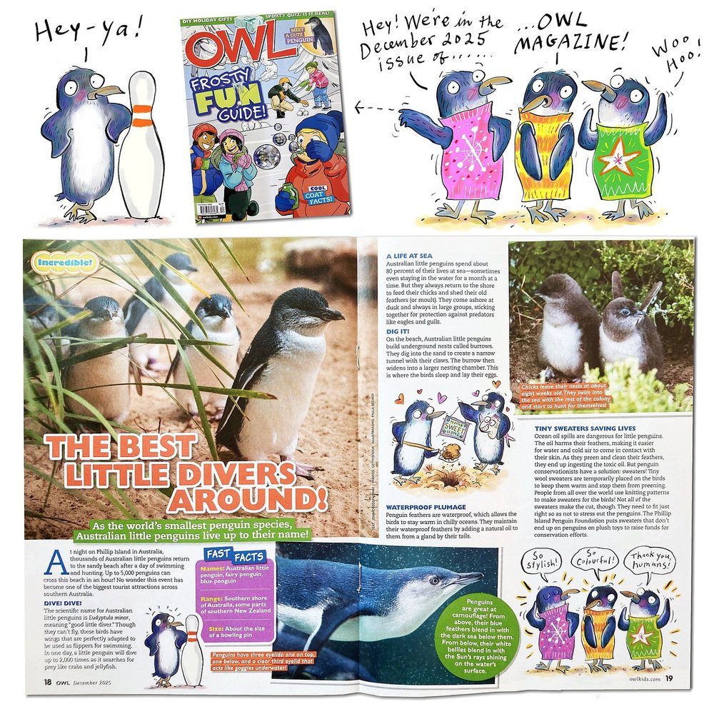 Owl Magazine — December 2025 Issue: 