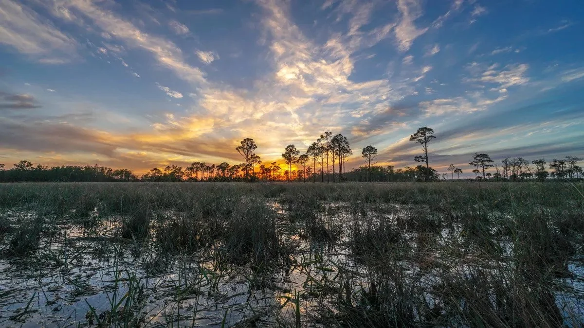 Park Advocates Urge EPA to Protect Big Cypress National Preserve from Oil and Gas Damage