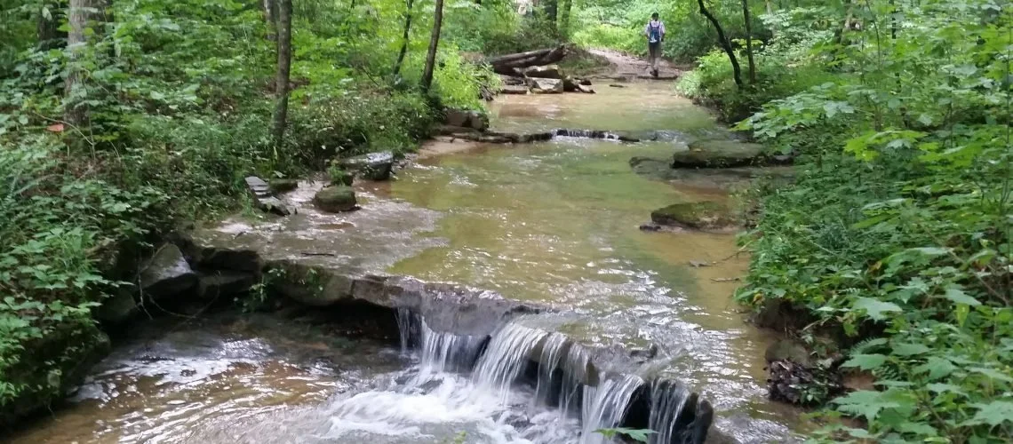 Preliminary Injunction Halts Burning and Logging in the Hoosier National Forest