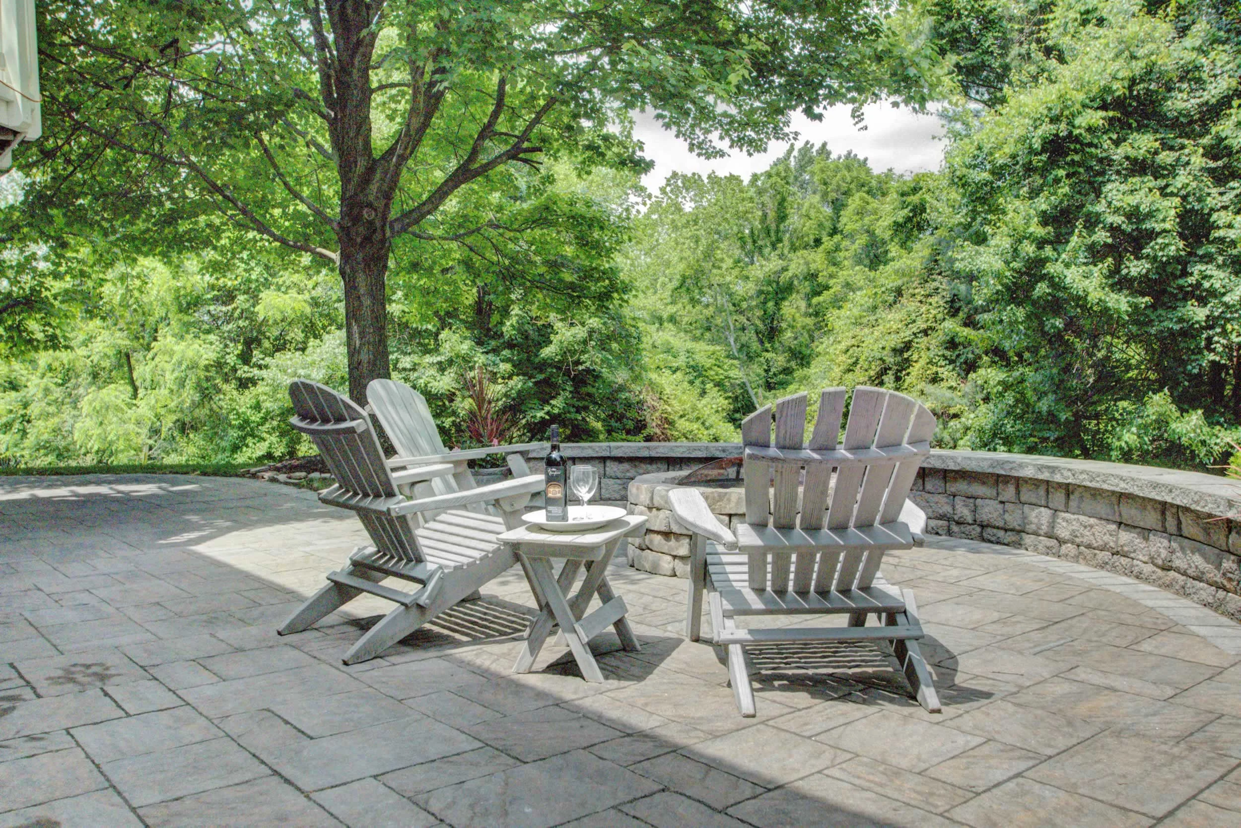 backyard.jpg