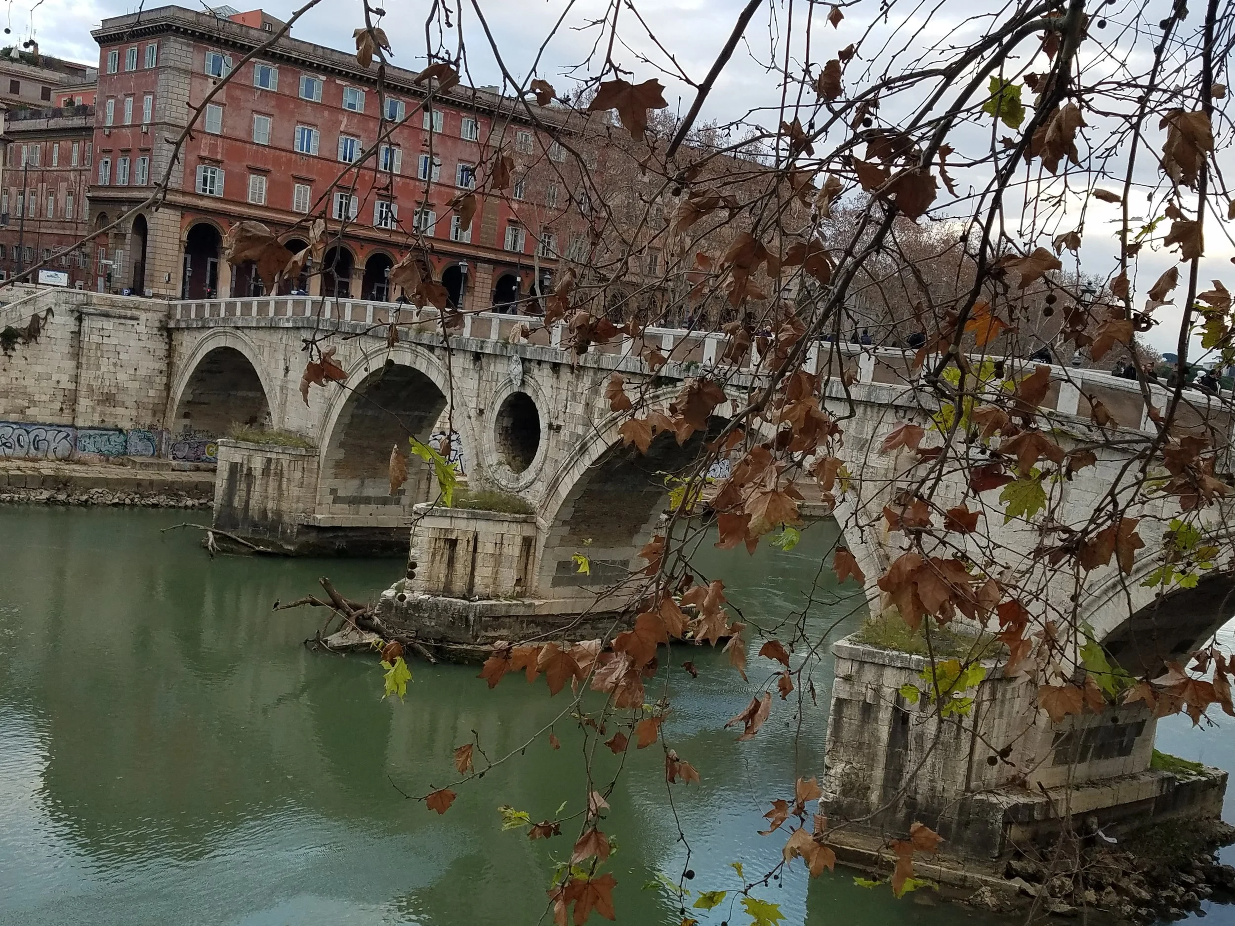 Tiber 4.jpg
