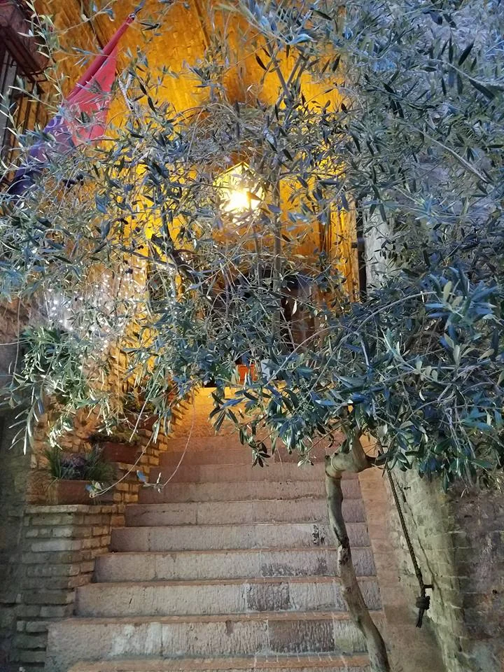 Assisi 1.jpg