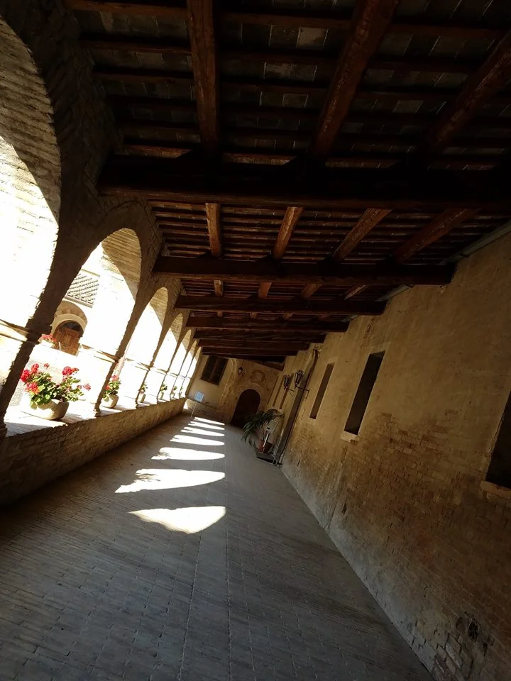 Cloisters SSM 1.jpg