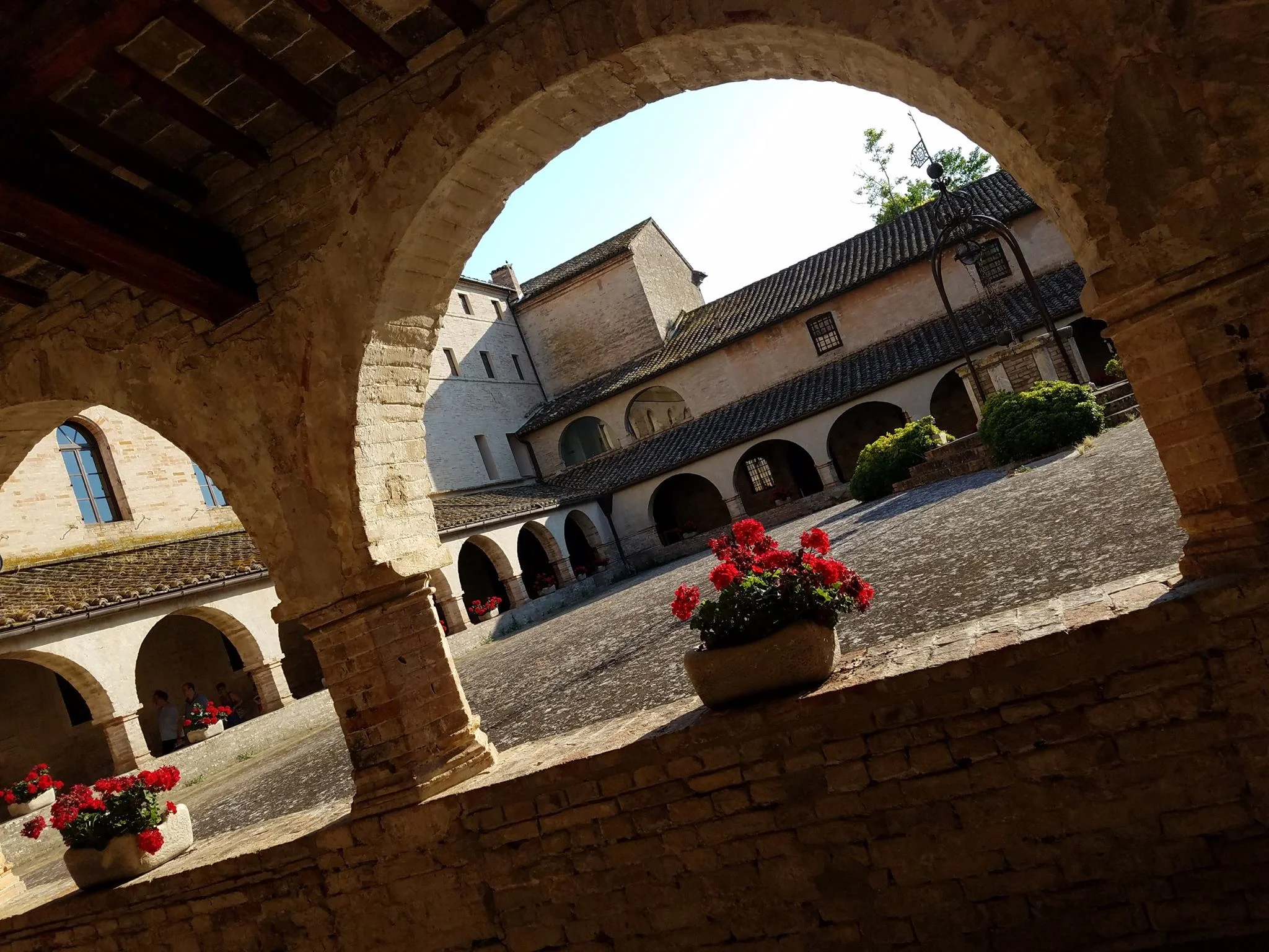 Cloisters SSM.jpg