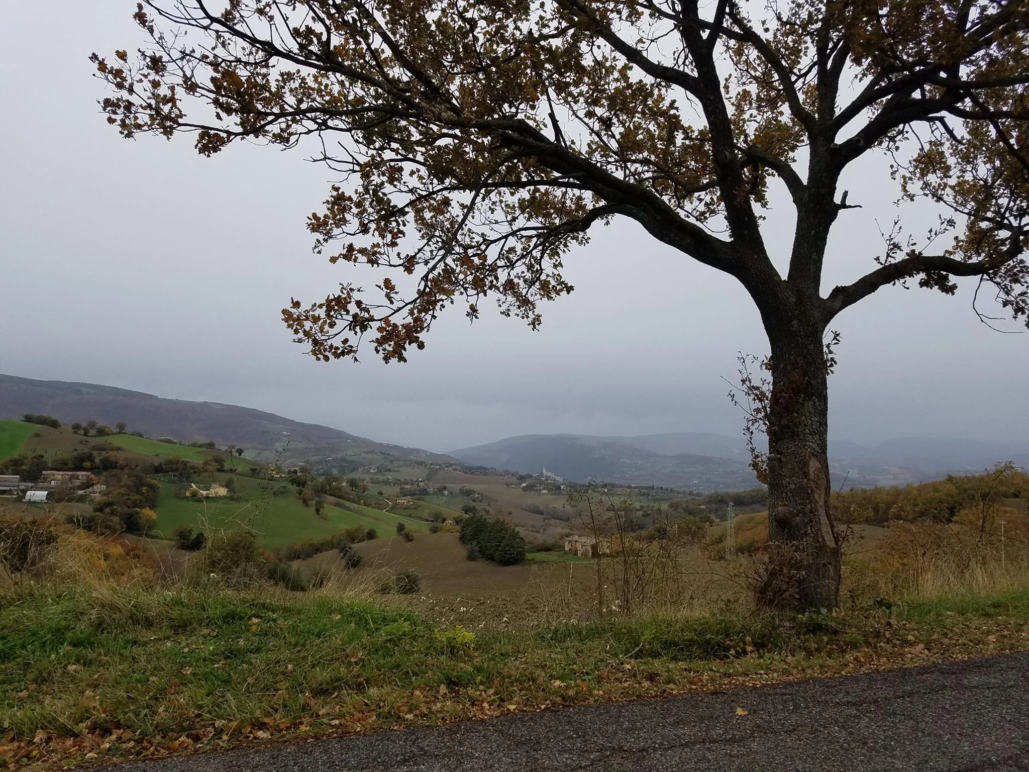 Le Marche.jpg