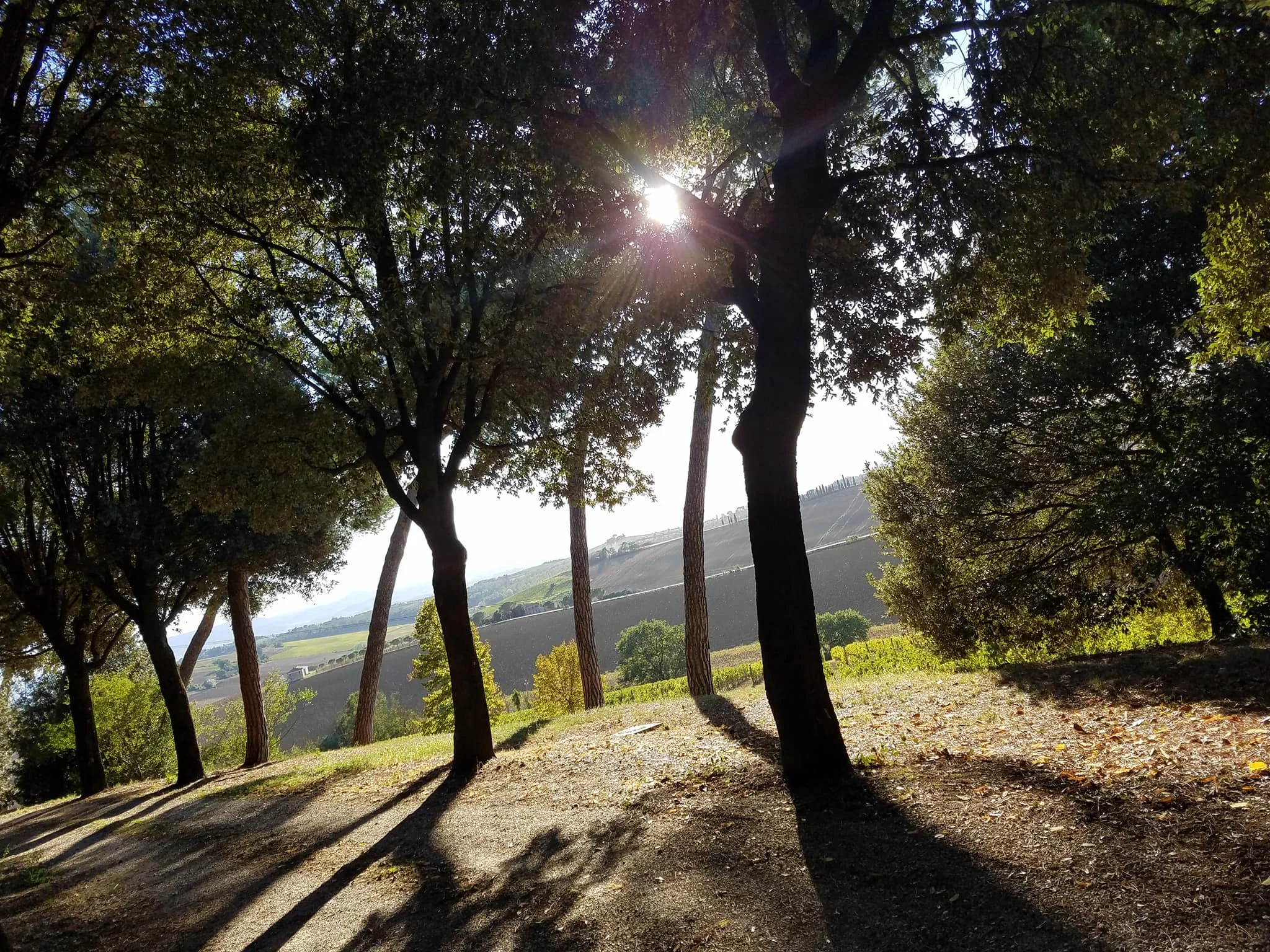 Montalcino 2.jpg