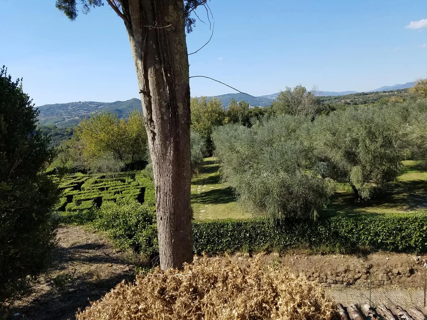 Sorano Wedding space.jpg