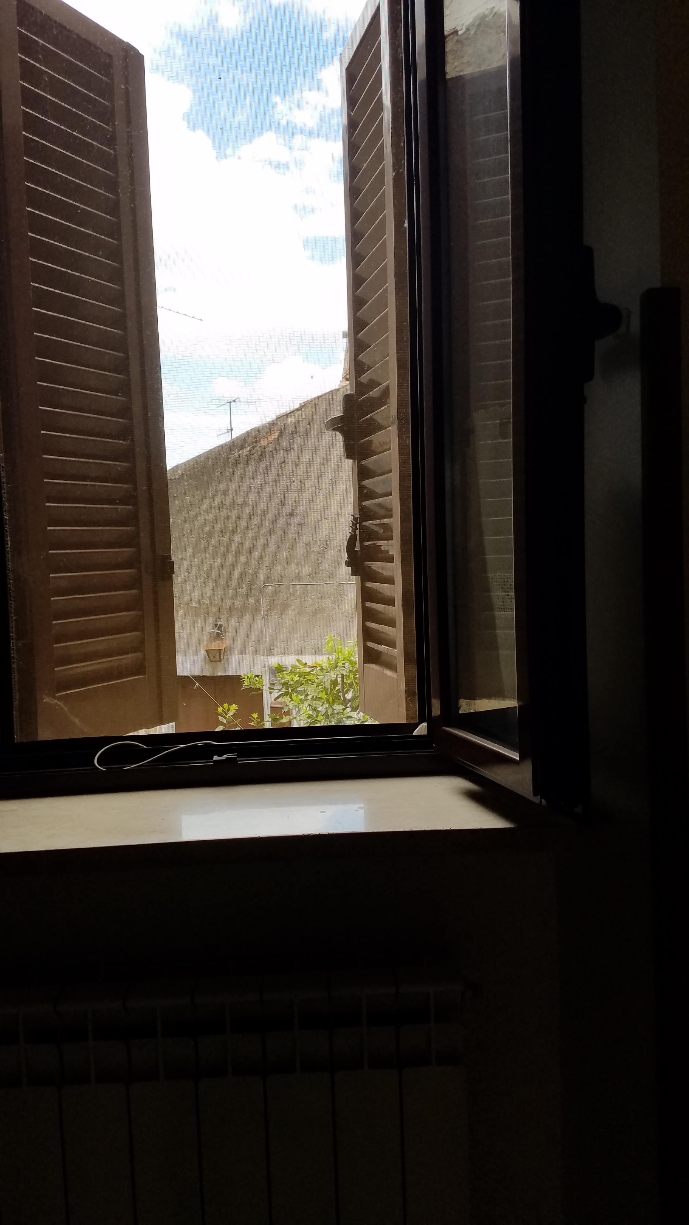 20190523_053932.jpg
