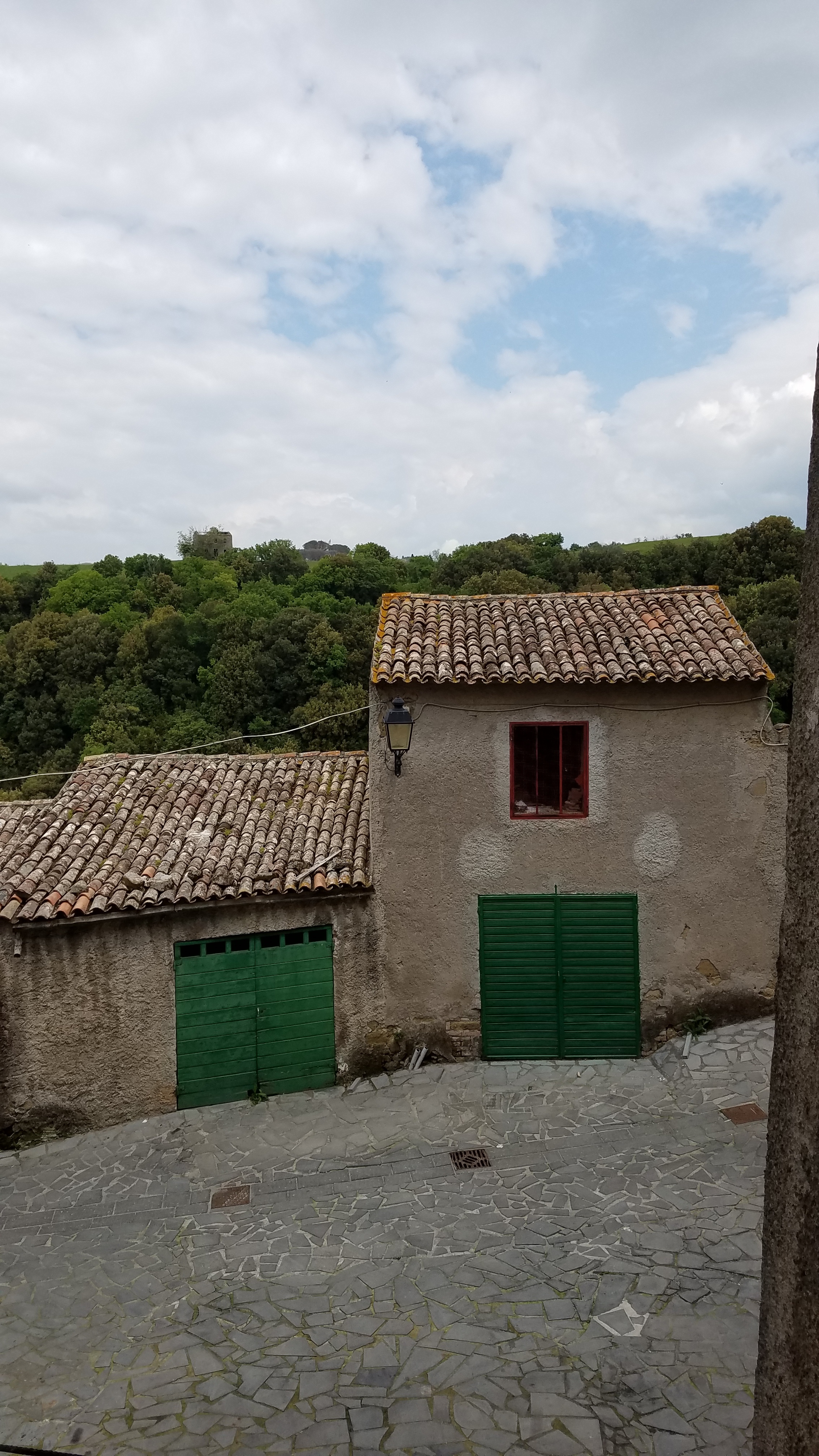 20190523_061156.jpg