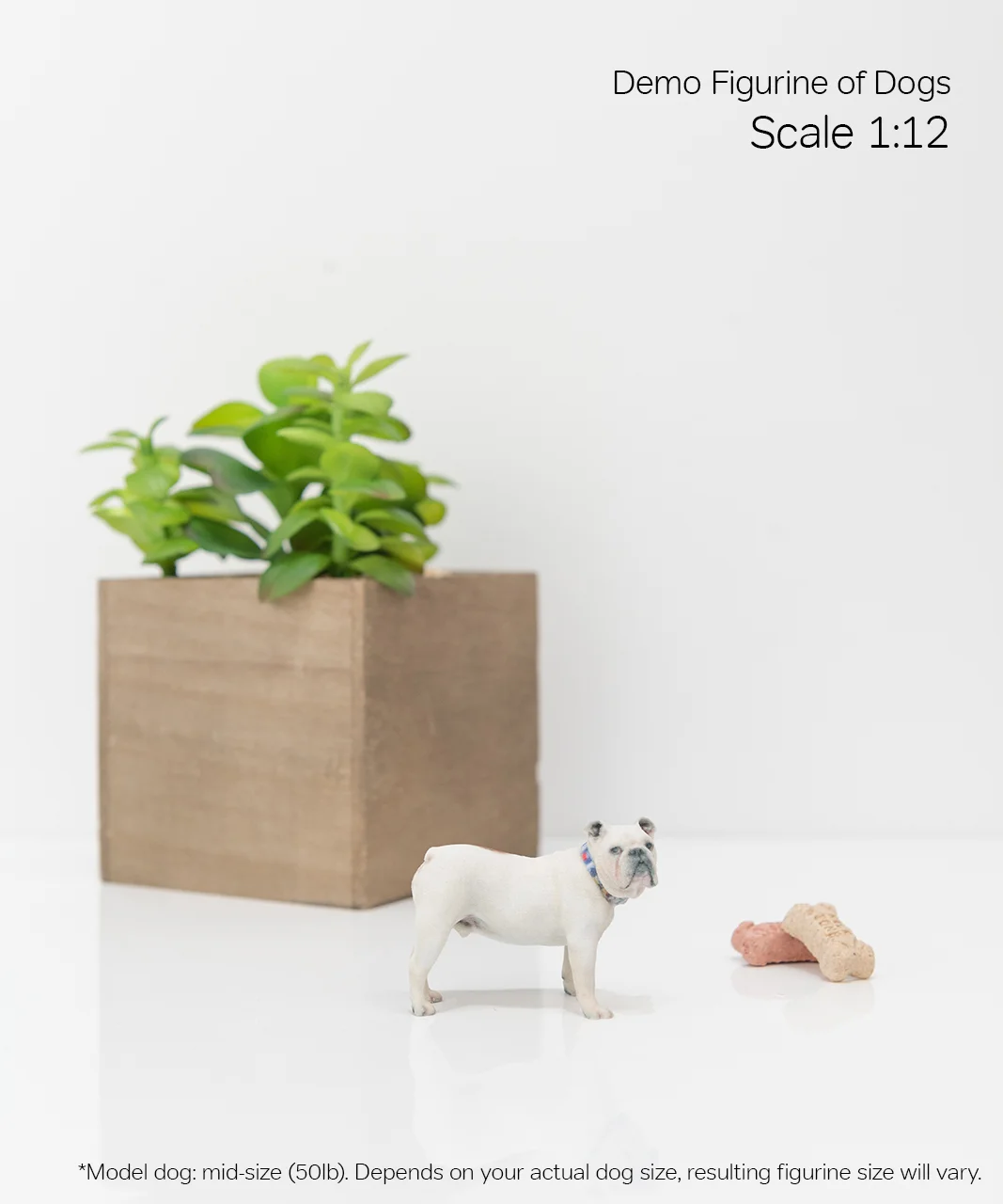 Scale Demo_Dog_2-12.jpg