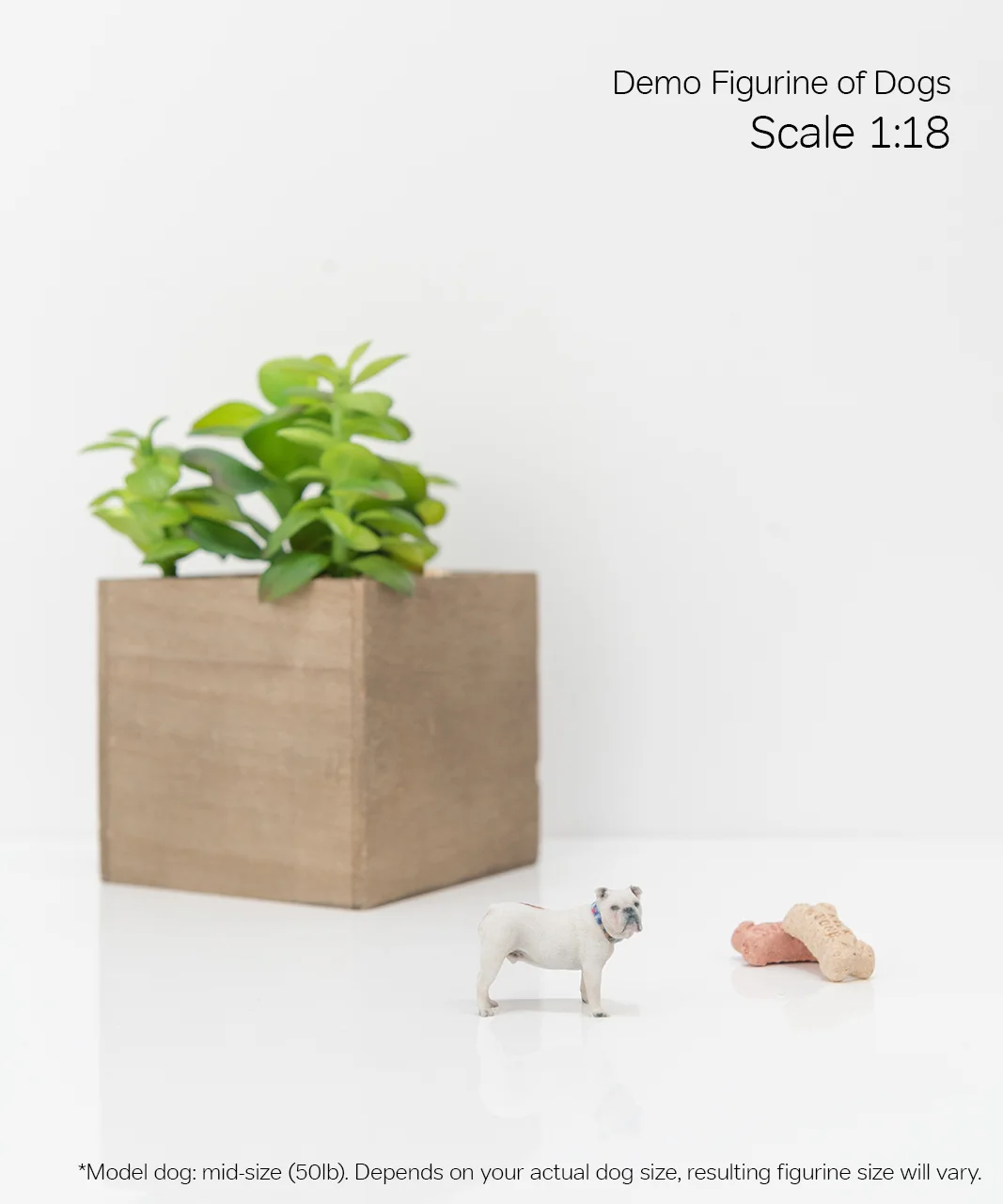 Scale Demo_Dog_1-18.jpg