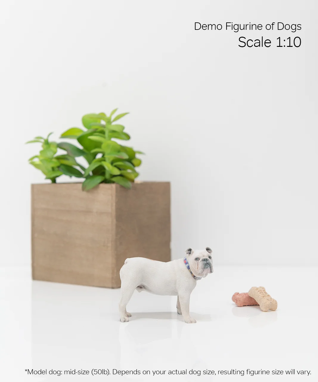 Scale Demo_Dog_3-10.jpg
