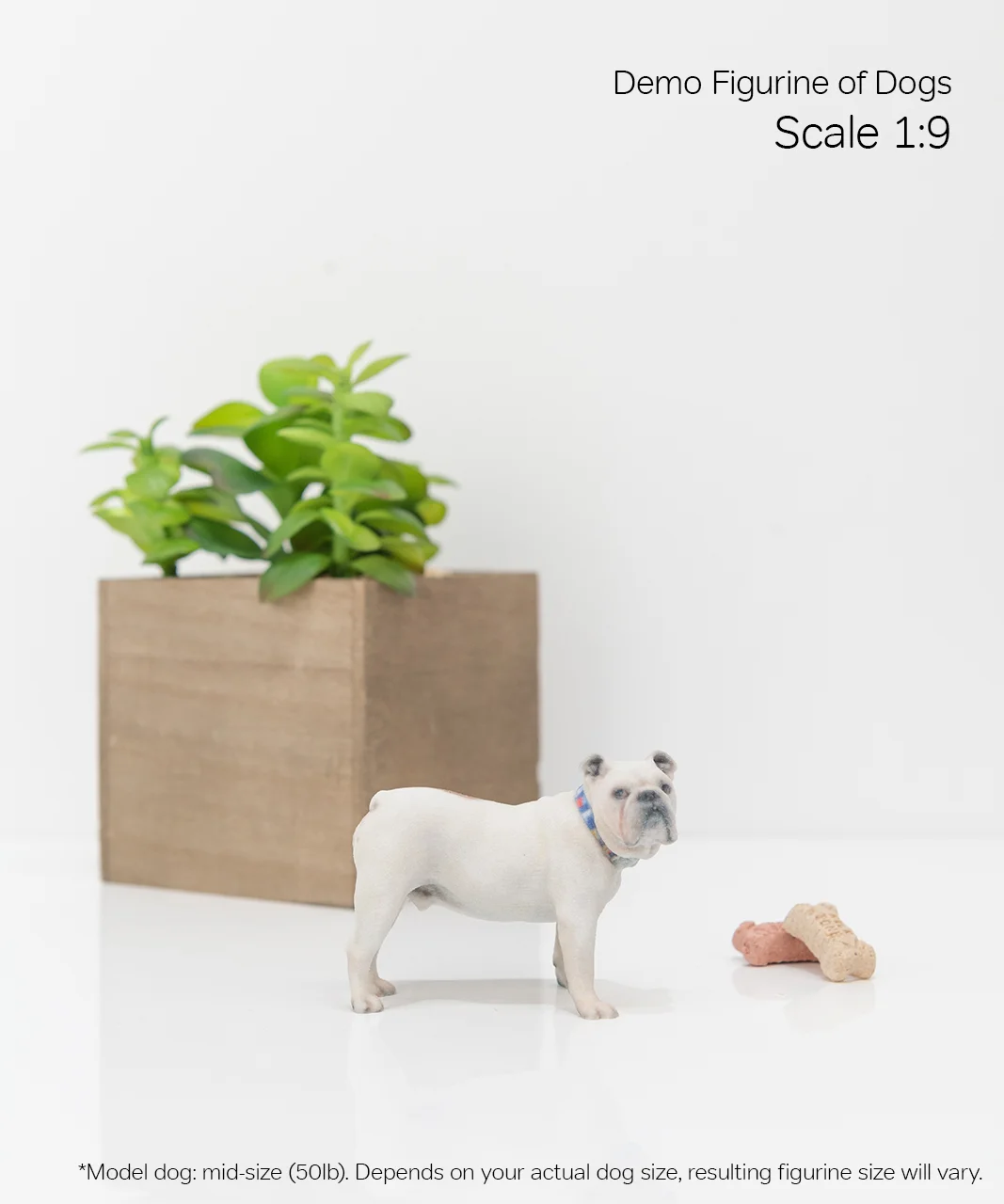 Scale Demo_Dog_4-09.jpg