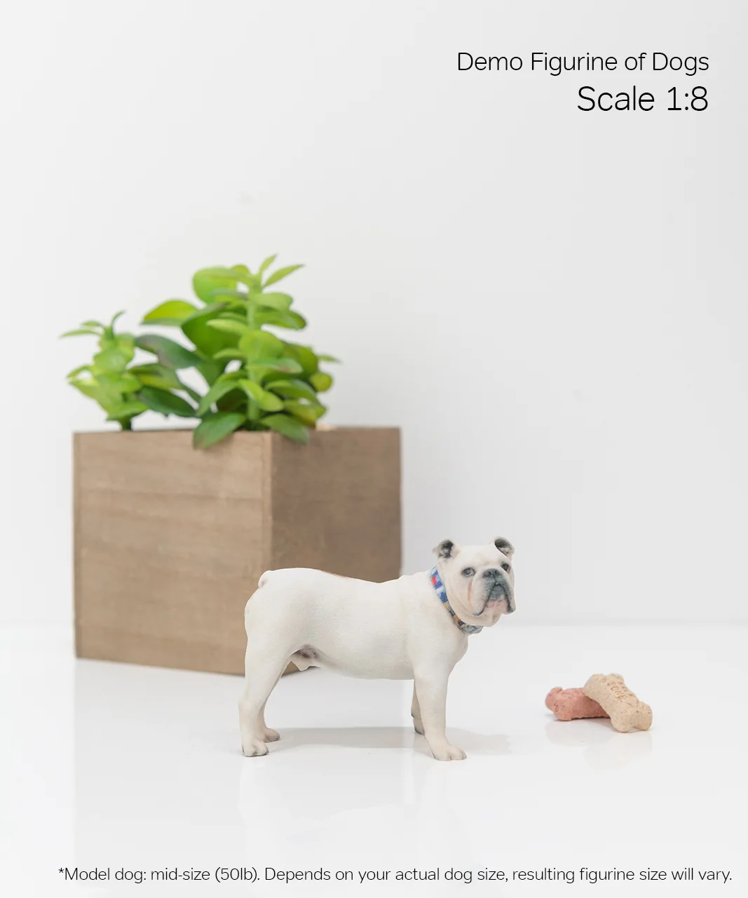 Scale Demo_Dog_5-08.jpg