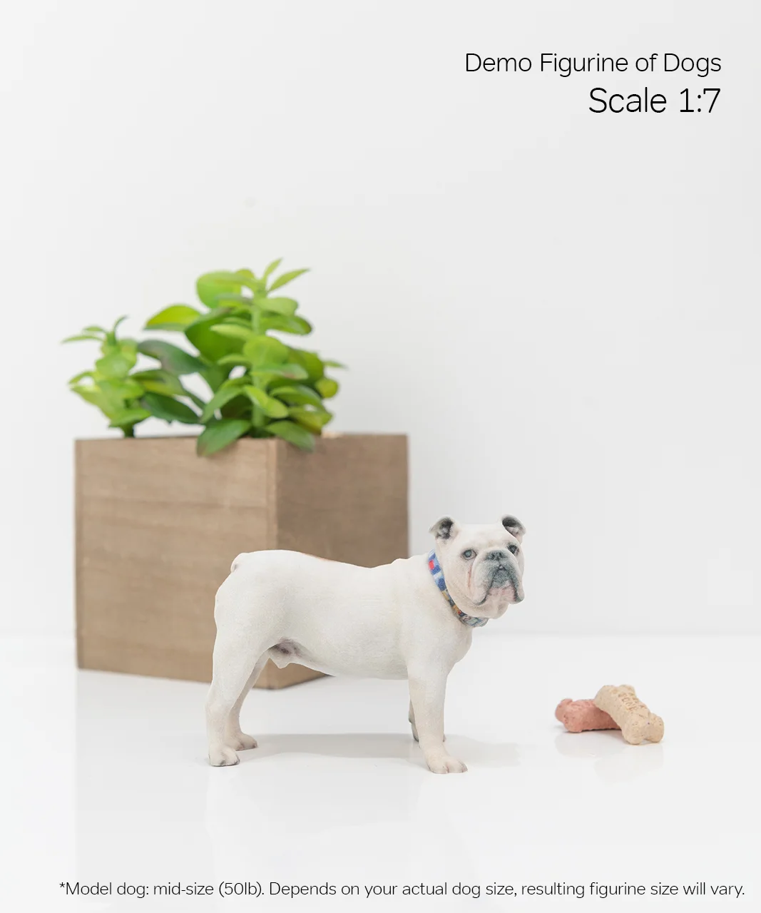 Scale Demo_Dog_6-07.jpg