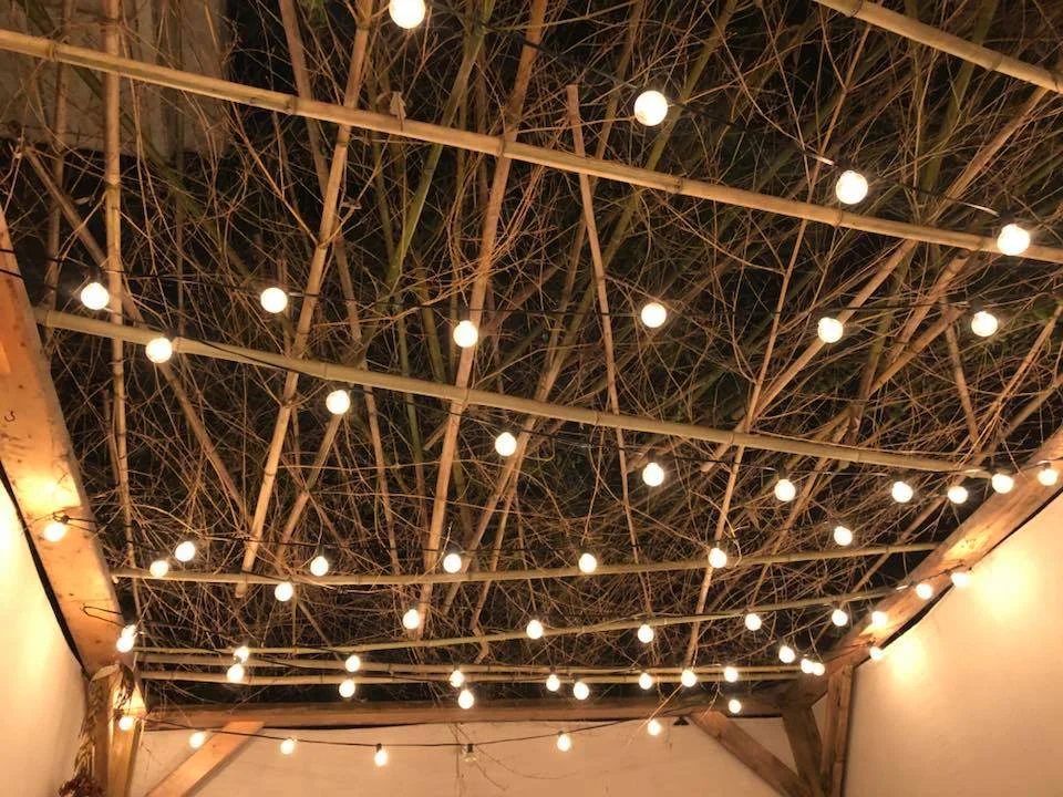 A view from inside Havayah’s community sukkah.
