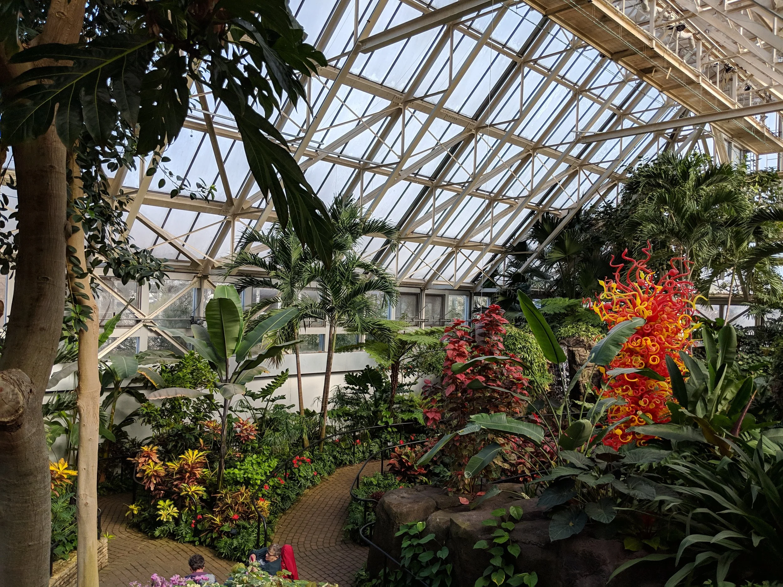 MVIMG_20190203_130413.jpg