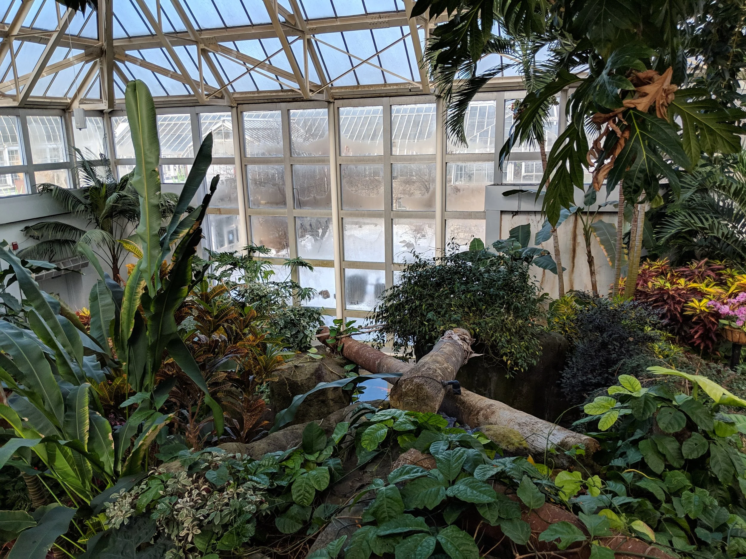 IMG_20190203_130417.jpg