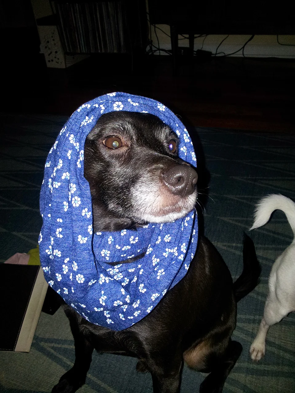 20130813_191715.jpg