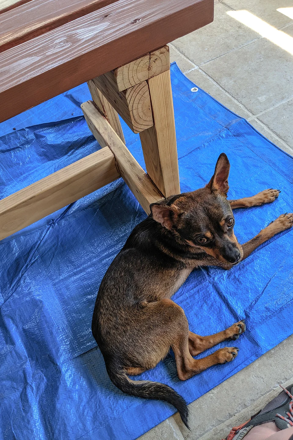 Kenny helping me stain a bench!