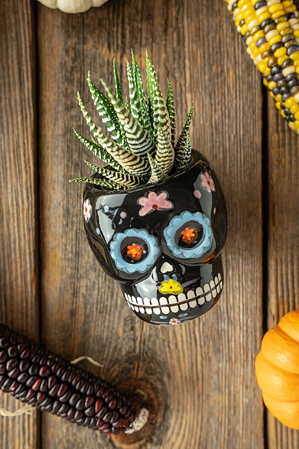 JodiLoves-Trader-Joes-Fall-2019-skull.jpg