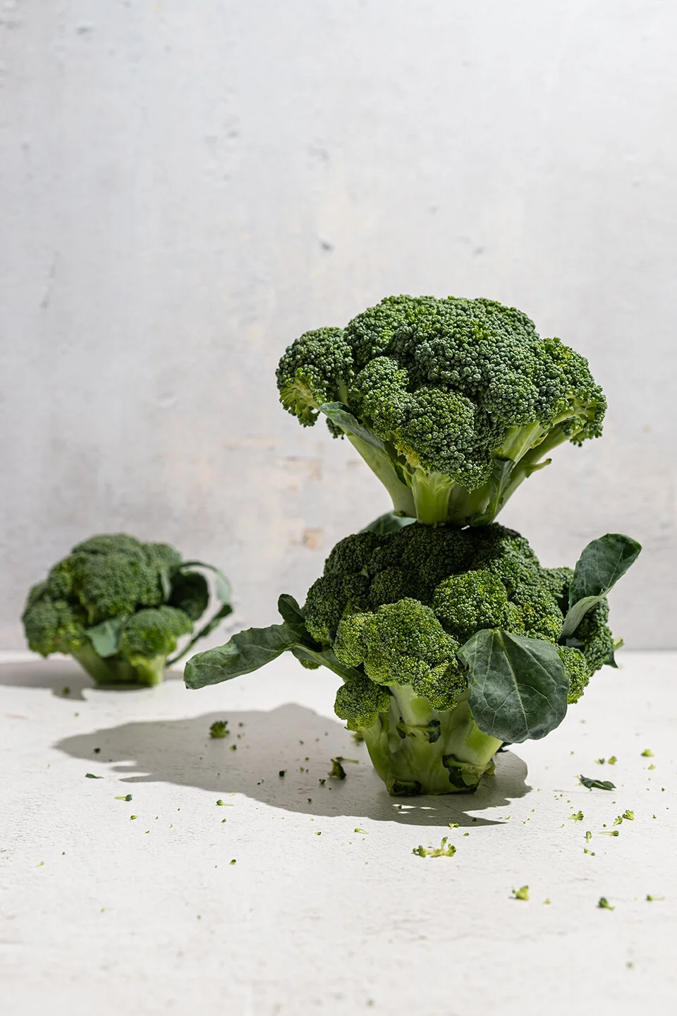 JodiS Broccoli