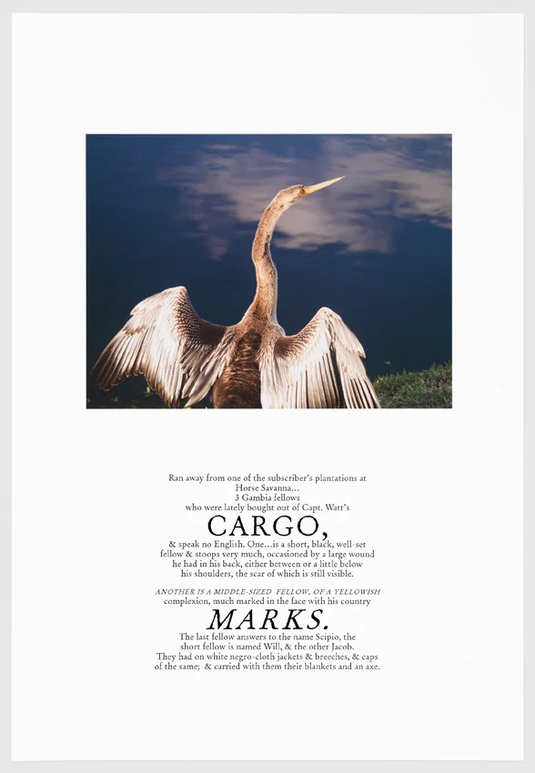 Cargo