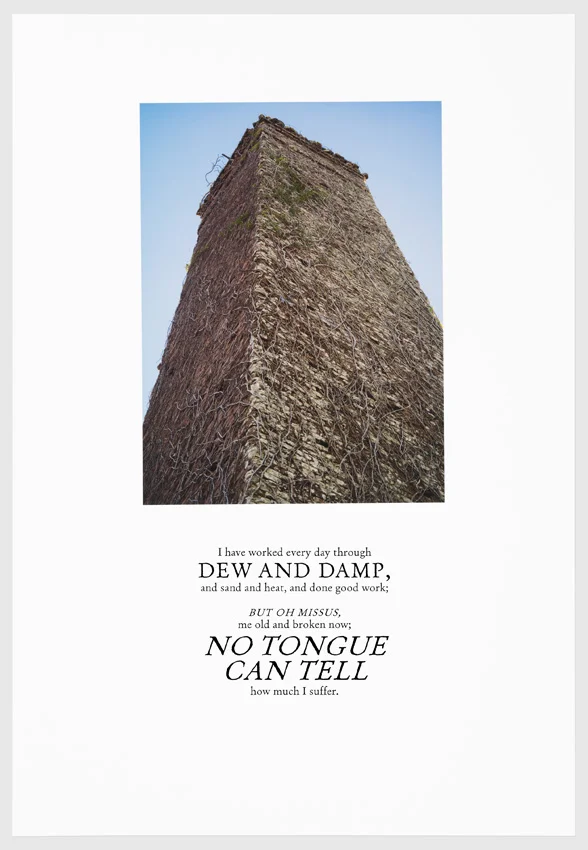 Drew and Damp