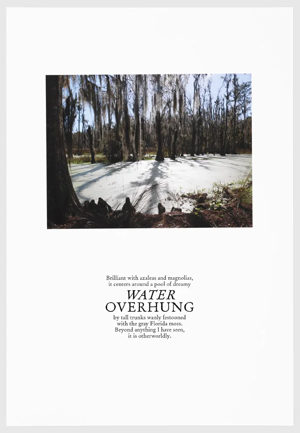 Water