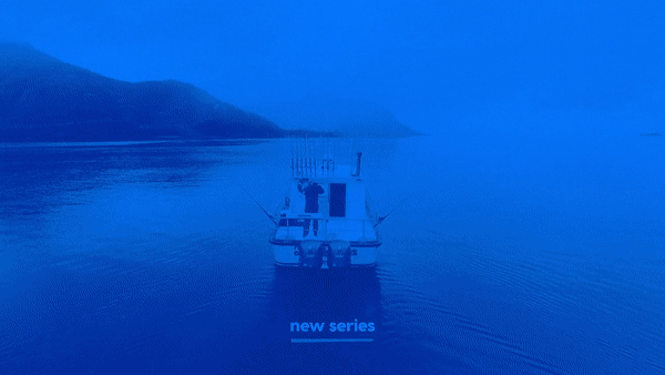 ezgif.com-video-to-gif copy 2.gif