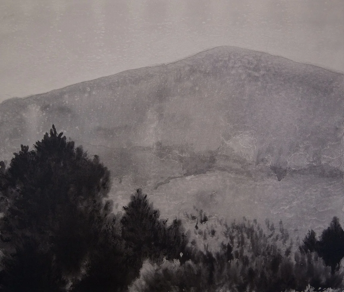 HongMi-jen,洪米貞,山行乍望,2013.jpg