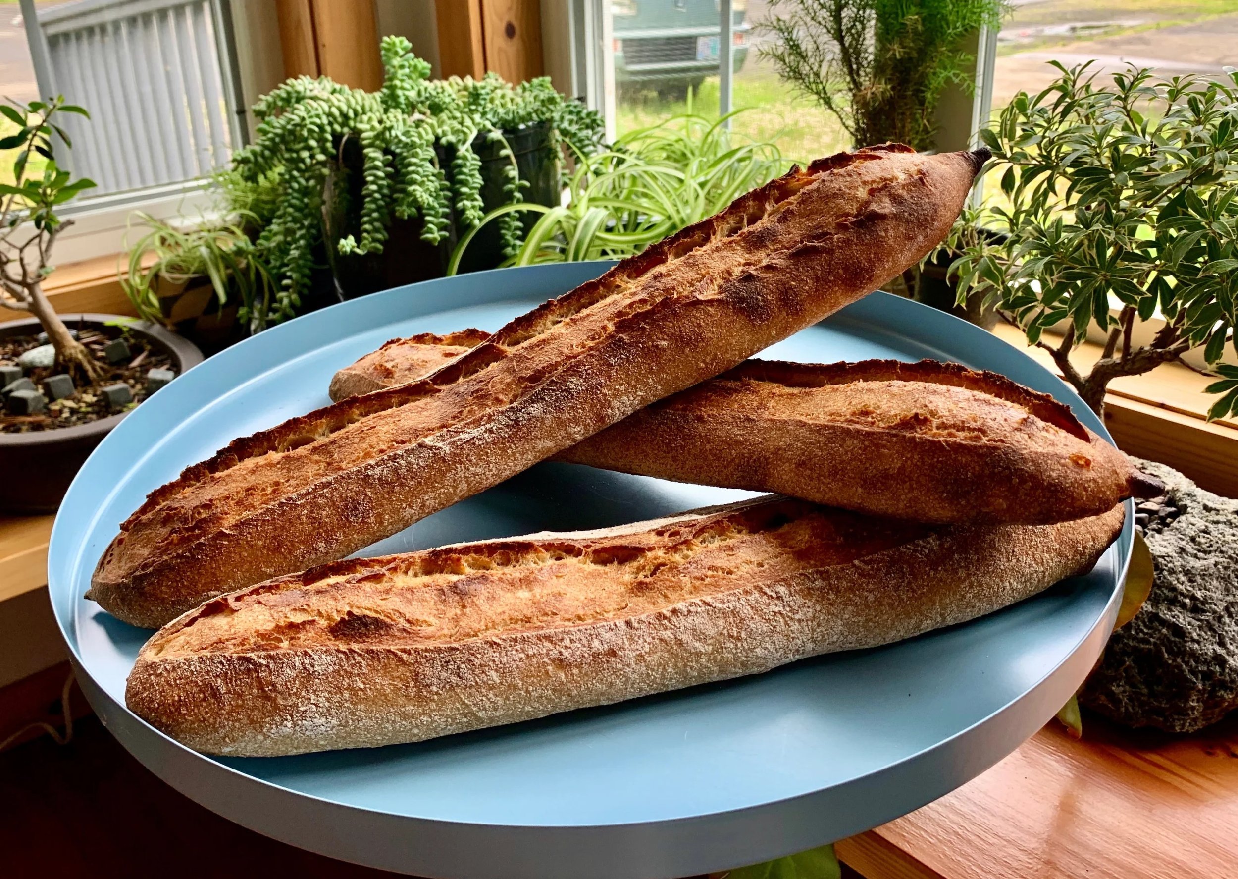 baguette (SATURDAY)