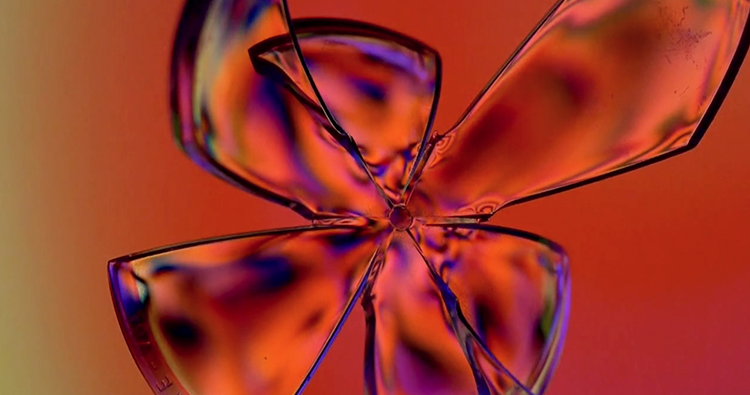 Iridesce - An Experimental Short