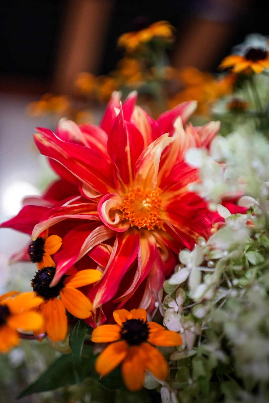 DSC00042.JPG