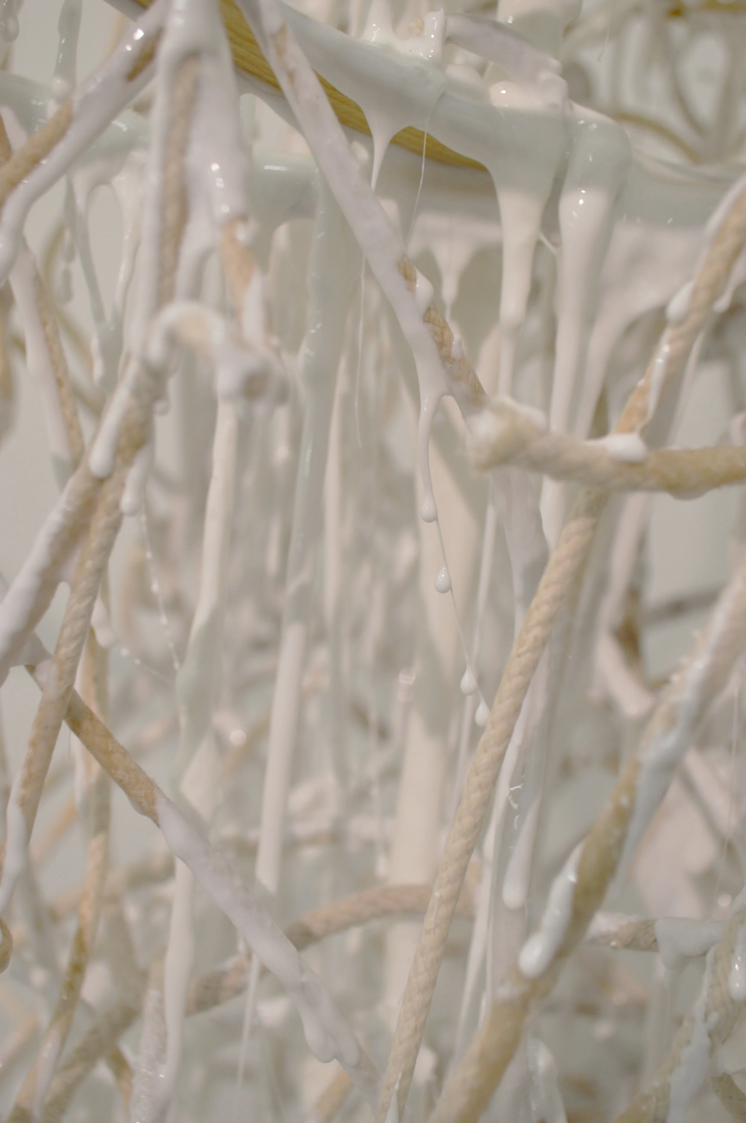 DSC_0035.JPG