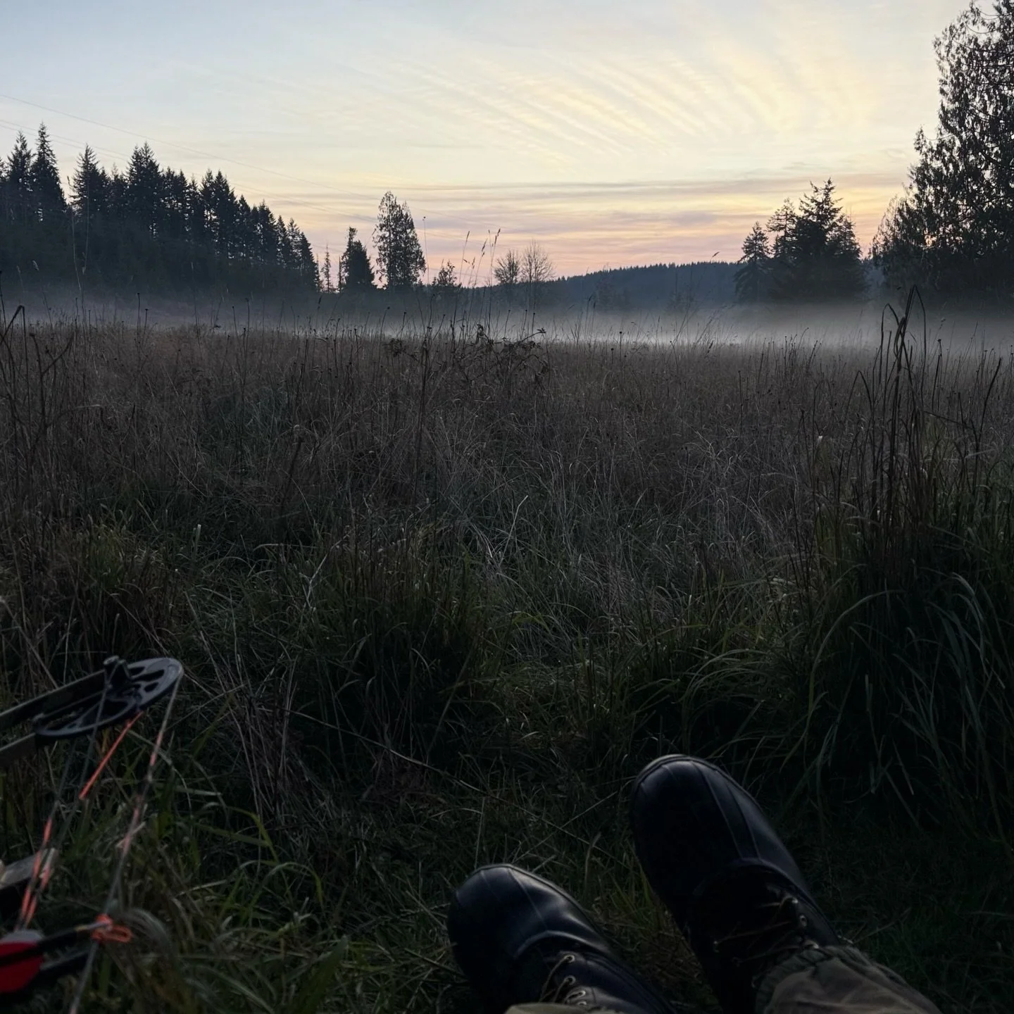 Elk season: Nice view.