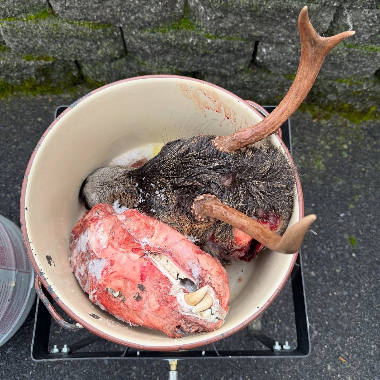 What kind of stock are you cooking your blackeyed peas in this year? #newyearseve #balldrop