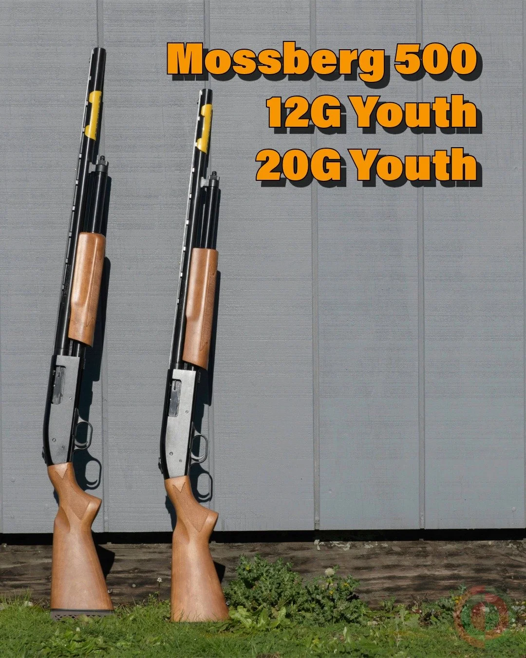 Turkey season will be here soon. Are you planning to get some youth or other small statured person out for their first or fifth turkey?  Turkeys are still on my list of animals that I have not harvested. One time I got out for turkey and I saw one...