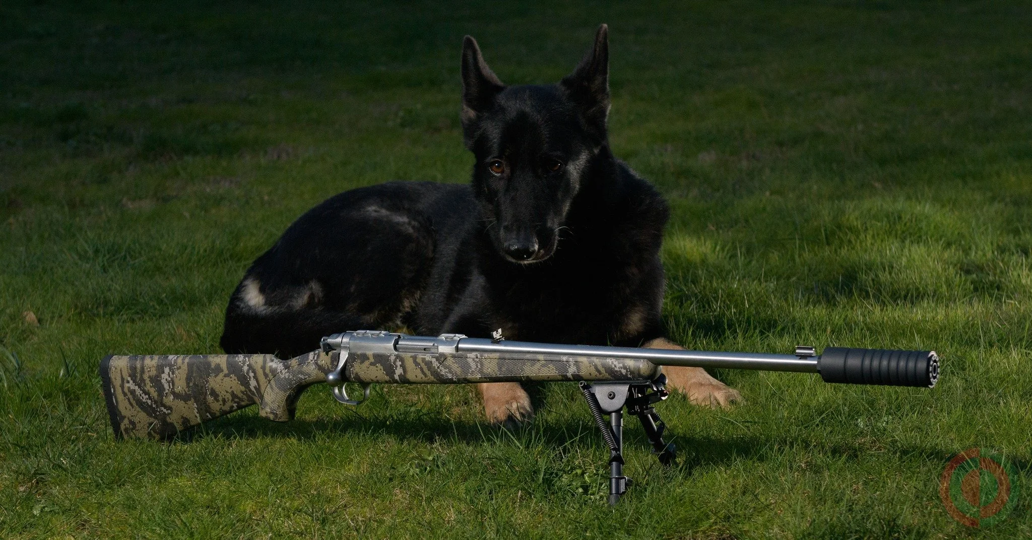 Agile, fast, quiet, and spicy. 
That's a Ruger 77 in .357 Magnum and a AB F-4.  When you need a truck gun to compliment your revolver, for those long days in the wet woods, when a .22 isn't enough for pest control, a light weight suppressed bolt acti