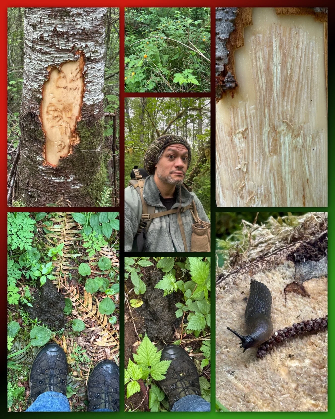 Black Bear Timber Damage Permitted Hunt. Bears were out yesterday but, none spotted today. Oh well. Sometimes you just need to hang out in the fresh air for a few hours to clear your sinuses.