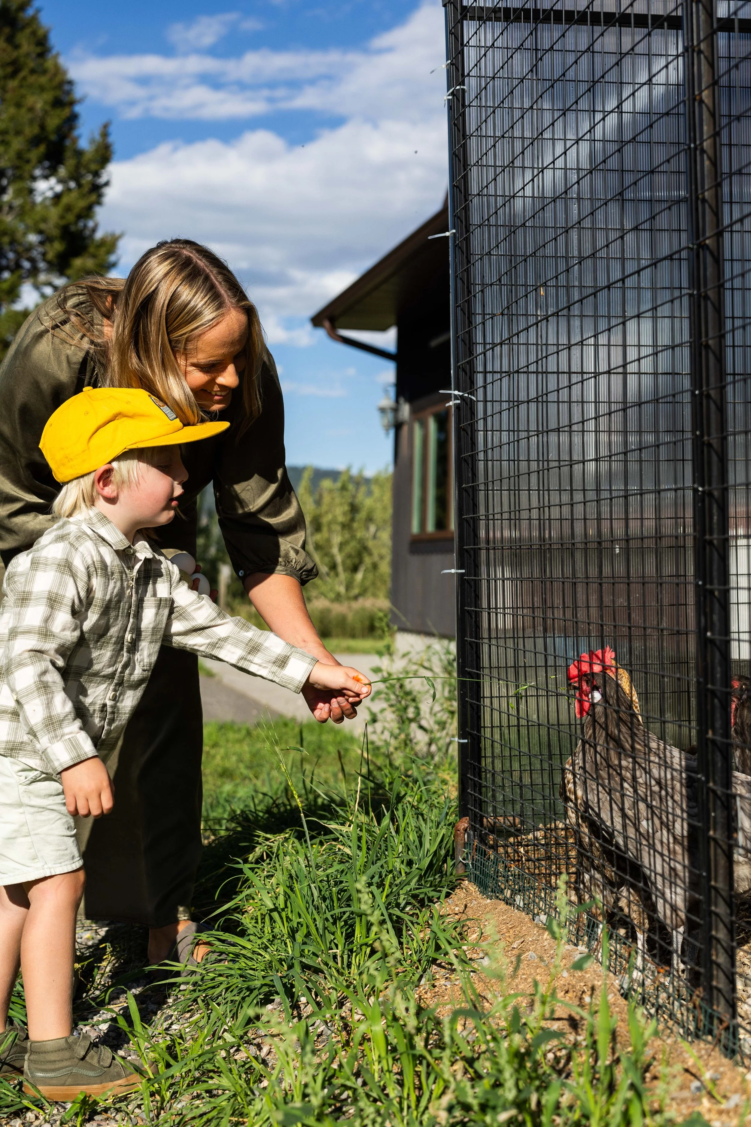 A woman and a young boy feeding a rooster through a wire fence outdoors on a sunny day.