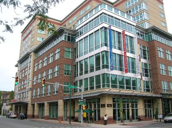 hiltonn.jpg