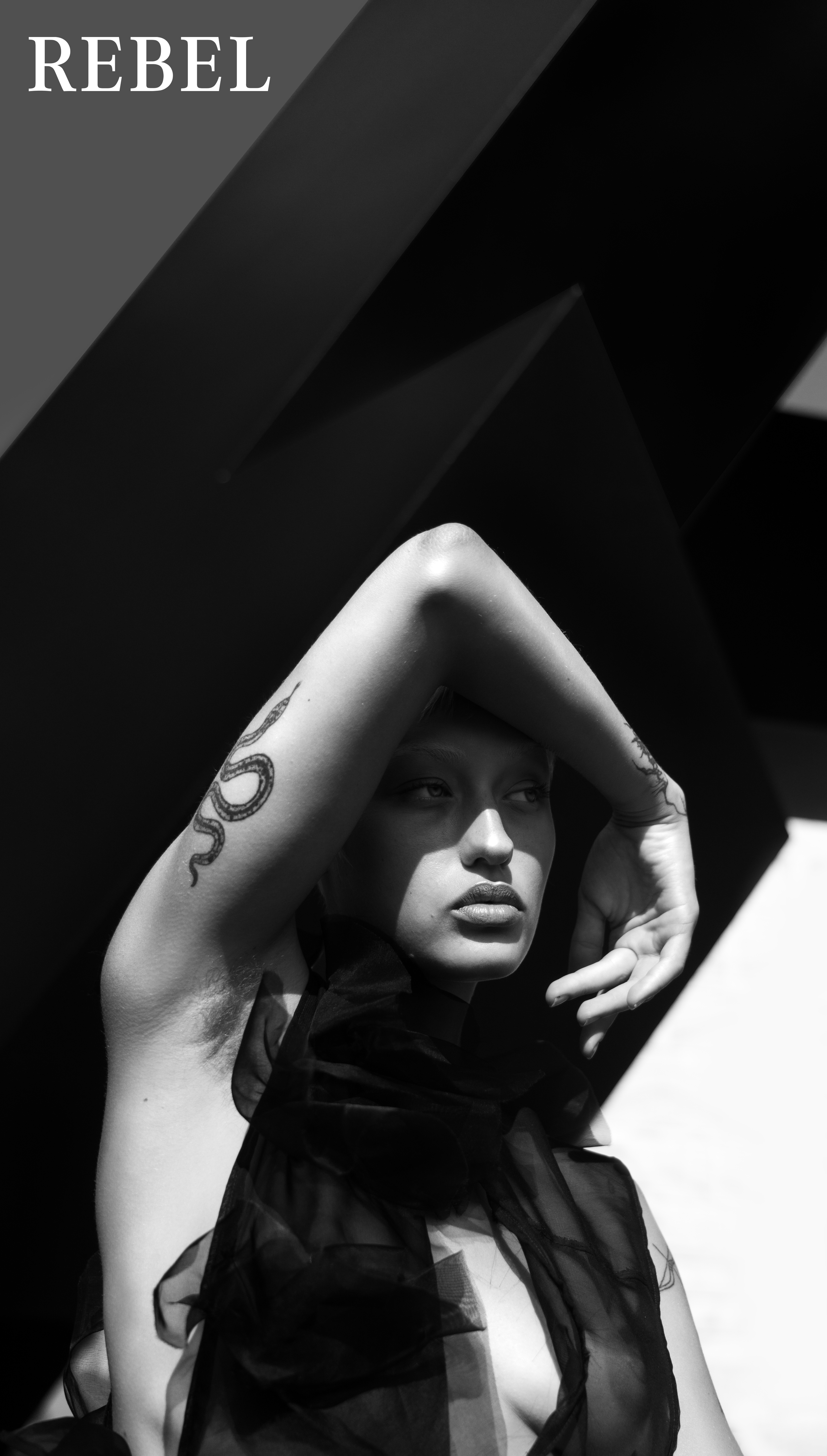 05(1).png