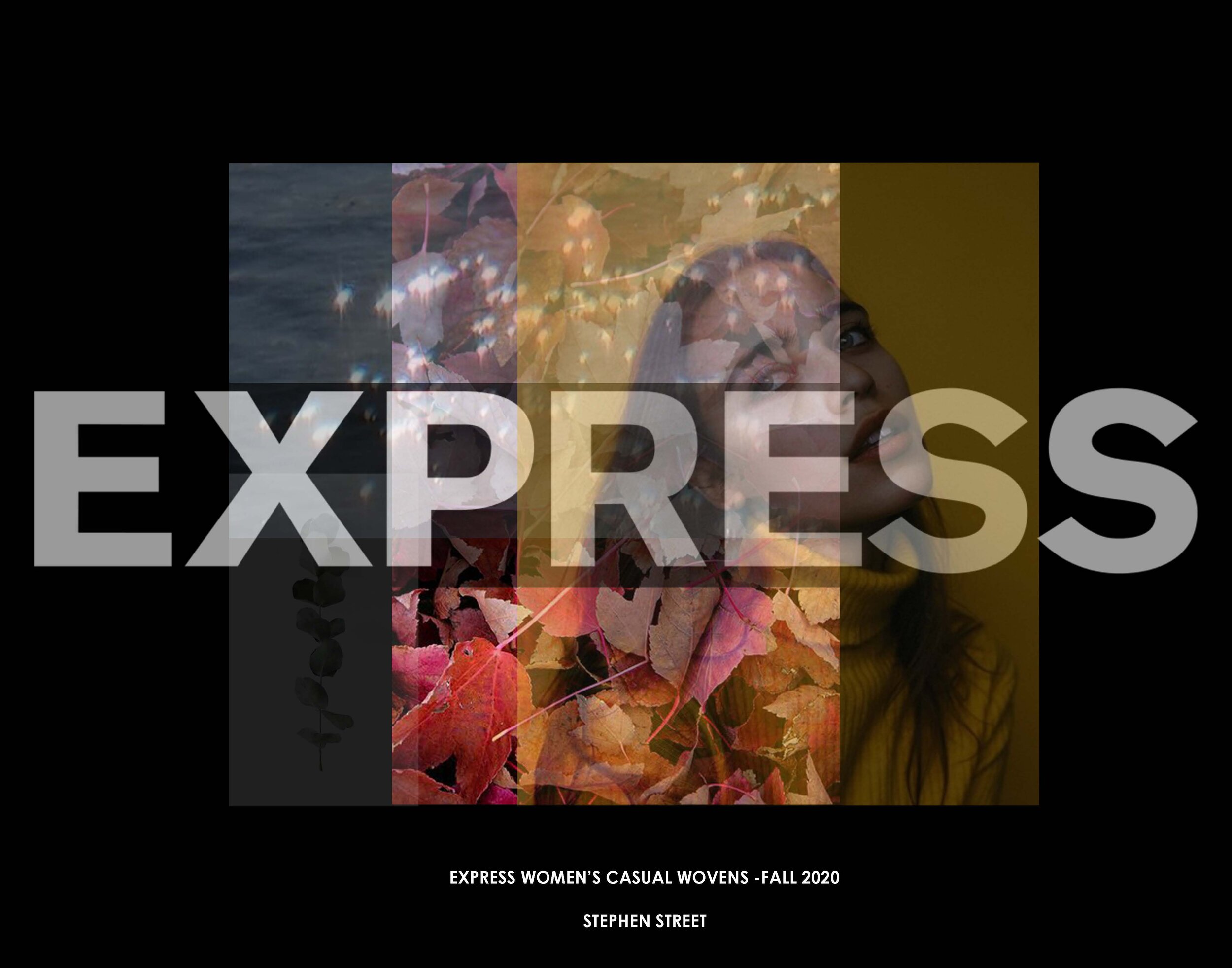express10.jpg