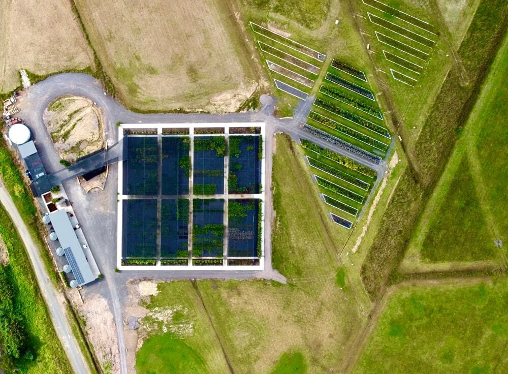DJI_0368.jpg