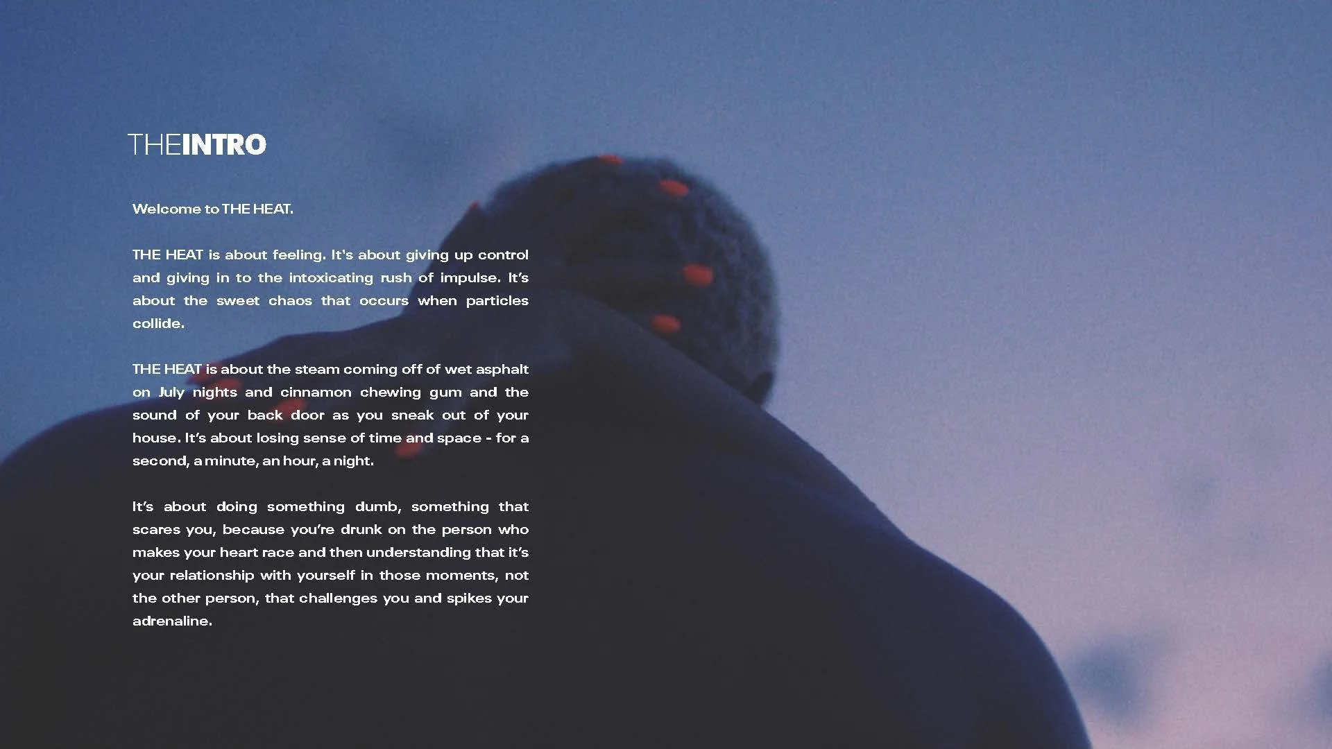 MJ The Heat Video Concept x Anthony Saladino_Page_04.jpg