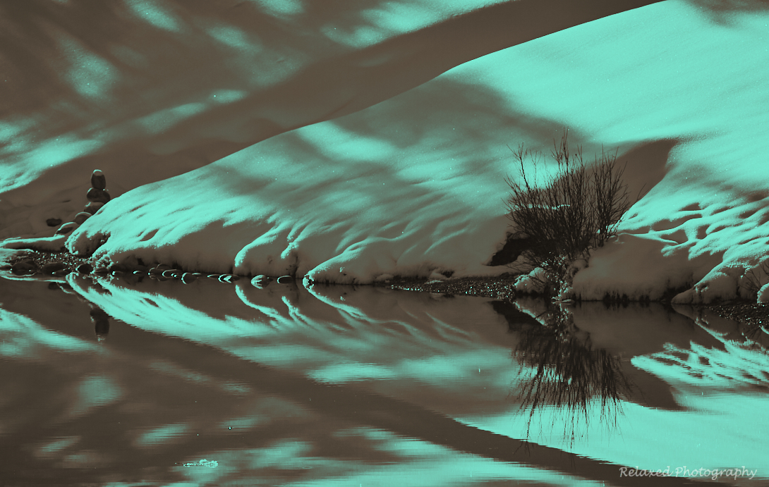 Forgetmenot Pond 14.jpg