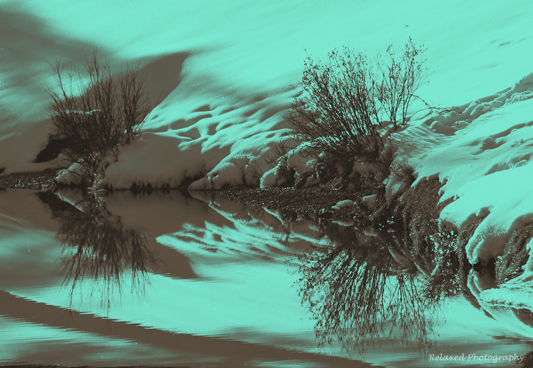 Forgetmenot Pond 16.jpg